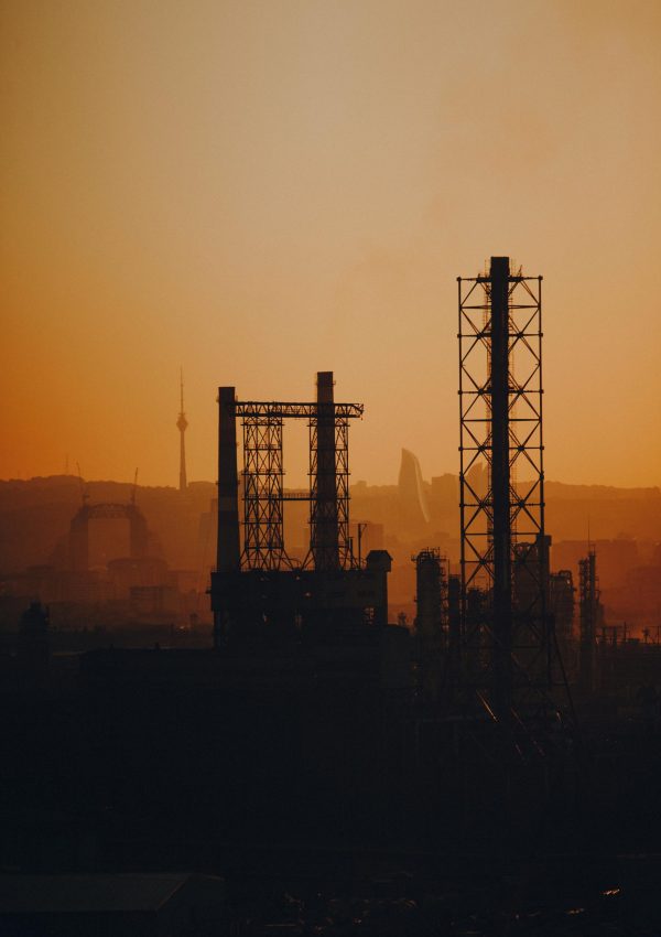 pexels-rauf-allahverdiyev-561368-3193410